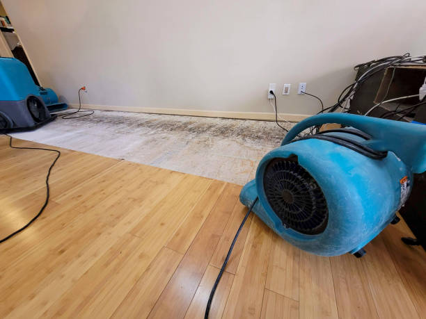 Professional Water Extraction technician working in Elizabeth, NJ